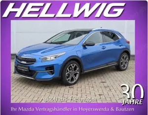 Kia XCeed 1.6l Platinum Edition Leder 1.Hand