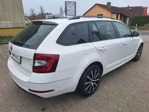 Skoda Octavia Combi Ambition 4x4 Bild 5