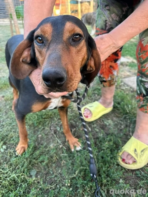 freundliche Sissy sucht Prinzen oder Prinzessin