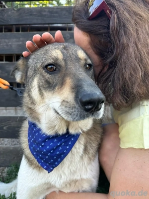 Toby auf der Suche nach seinem Glück  