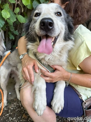 Wer schenkt Newton sein Herz?