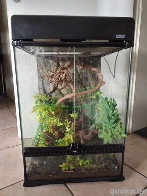 Exo Terra Terrarium 45 45 60cm 