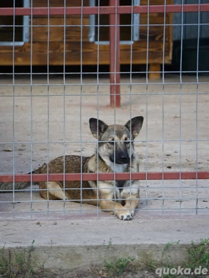 Nalani ca. 45 cm - die Gute-Laune-Fee