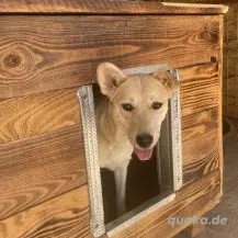 Selena ca. 38 cm - Die Fröhliche