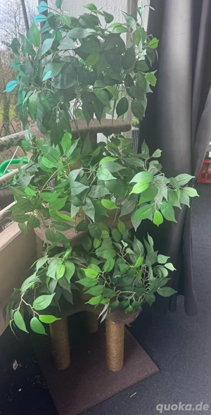 Kratzbaum 3 stöckig 