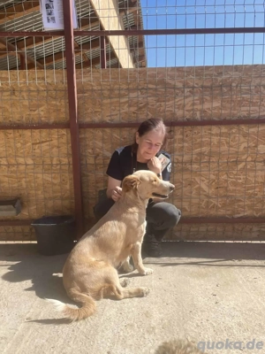 Ampi ca. 40 cm - Die sanfte Seele