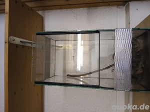 Terrarium wie neu 200 200 410