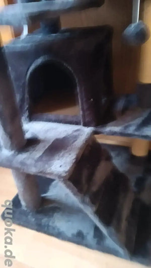 Katzenkratzbaum 