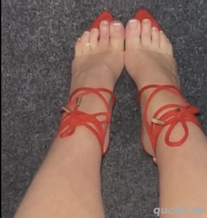 Treuer zahlsklave gesucht 