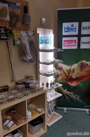 Terrarien, Flaschengärten - Zimmerpflanzen - Dekoration - Technik - Aquaristikzubehör  Bild 4