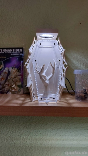 Terrarien, Flaschengärten - Zimmerpflanzen - Dekoration - Technik - Aquaristikzubehör  Bild 8