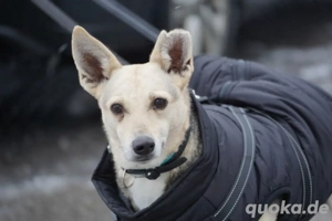 Mary Beth sucht ihre Menschen