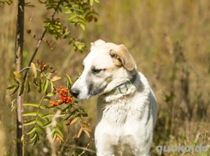 Kannst du Nemo lieben trotz handicap?!