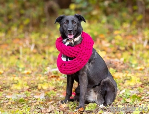 Wunderschöne Jasmine mochte geliebt werden