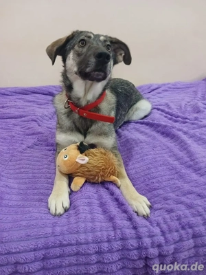 Verzaubert Lori dich mit ihren augen ?!