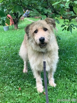 Wer gibt Algerien nochmal eine chance ?!