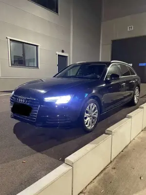 Audi A4 Avant 3.0 TDI quattro tiptronic design