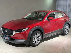 Mazda CX-30 Selection G-150/AT/Navi/Head-Up/360 Grad Cam/Bose