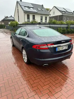 Jaguar XF 2.7 V6 Diesel Premium Luxury Bild 5