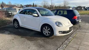 Volkswagen Beetle The 1.2 TSI Design 1.Hand,Scheckheft gepflegt,Alu