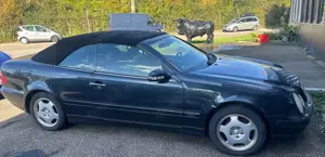 Mercedes-Benz CLK 200 Cabrio Kompressor Avantgarde