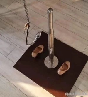 Suche Sadistische TV Herrin 