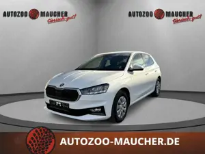 Skoda Fabia 1.0 TSI Top Selection SHZ/LENKH/APP/LED