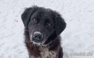 Ivy - voller Energie und Lebensfreude!