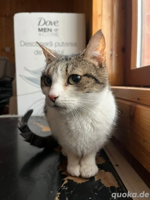 Mitu sucht endlich ihr Glück   vielleicht bei dir