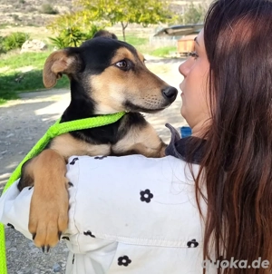    Lucky   der Name ist Programm!    Jung, charmant und auf dem besten Weg zum großen Glück