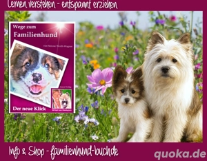 Welpe Hund Erziehung Buch 