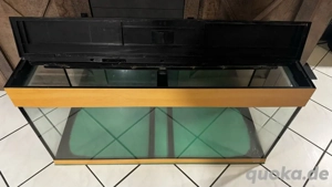 Aquarium 100x40x50 mit Zubehör