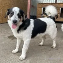 Nevio im Wachstum - der Knuffige