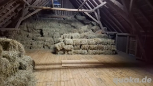 Offenstall sucht Einsteller