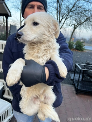 Hübscher Kerl sucht sein Glück 