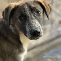 Aylin im Wachstum - Das sanfte Seelchen