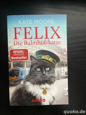 Felix die Bahnhofskatze