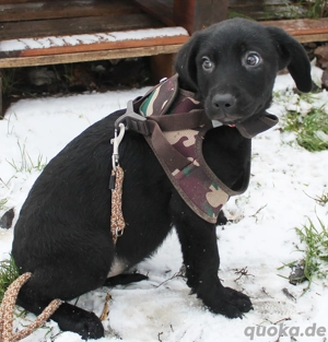 Allein in der Kälte   Felipe möchte ankommen