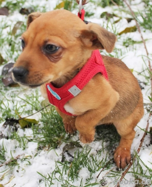 Naxos - Ein Winterfund mit Hoffnung