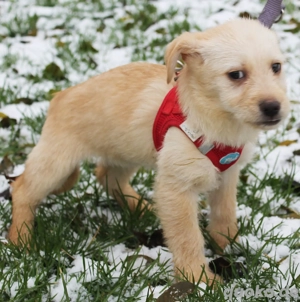 Noxima   klein gefunden, groß im Herzen