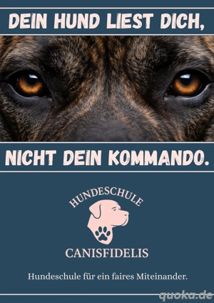 Hundetraining, Hundeschule Großenhain Riesa und Umgebung 