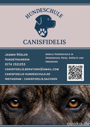 Hundeschule   Hundetraining Bild 2