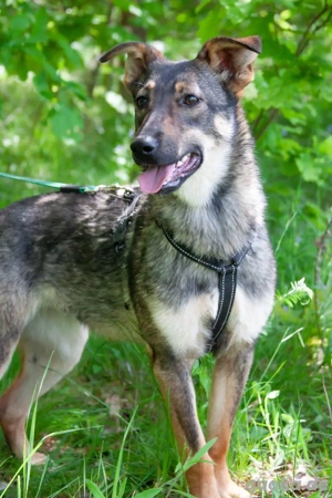 Liebevolle Olivka sucht ihren platz 