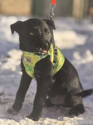 Nexus   ein kleiner Entdecker am Anfang seines Weges