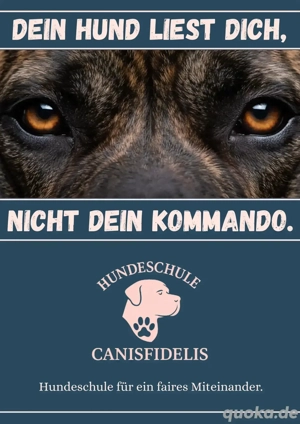 Hundetraining, Hundeschule Großenhain Riesa und Umgebung 