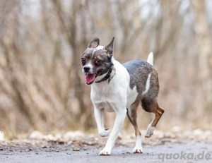 Gesseliger Peter sucht dich ...