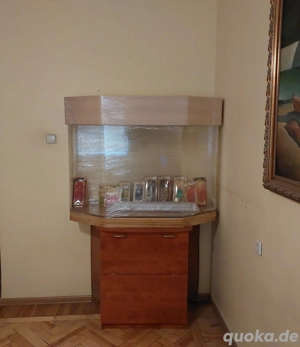 400-Liter-Acryl-Aquarium   Einzigartiges Ozean-Flair Bild 2