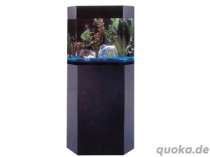 400-Liter-Acryl-Aquarium   Einzigartiges Ozean-Flair