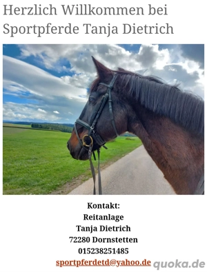 Pferdebox Stall zu Vermieten Vollpension Selbstversorger 