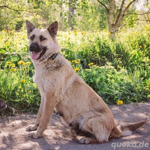 Wunderschöne Linda sucht 